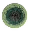 Willow (reverse)